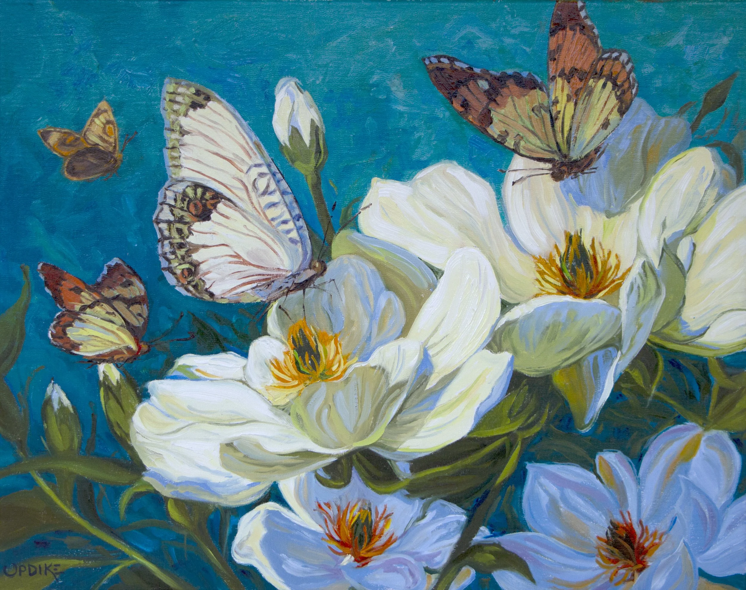 Butterfly Waltz