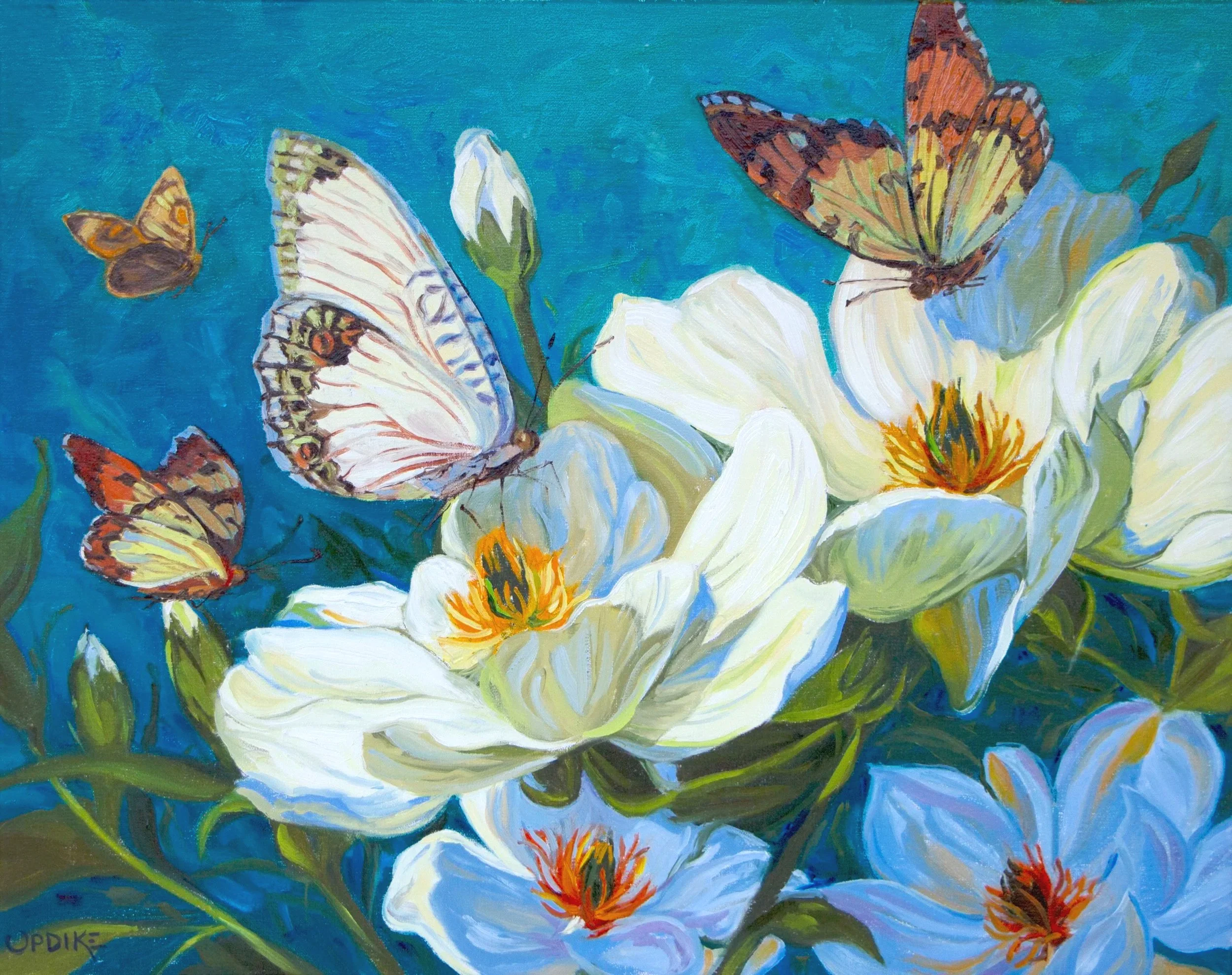 Butterfly Waltz