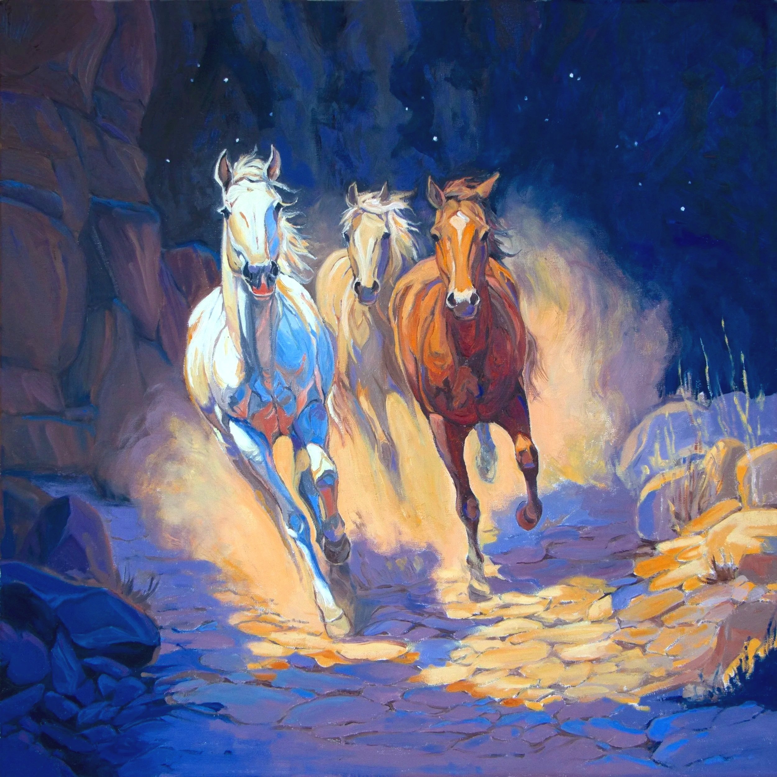 Dreamtime Run