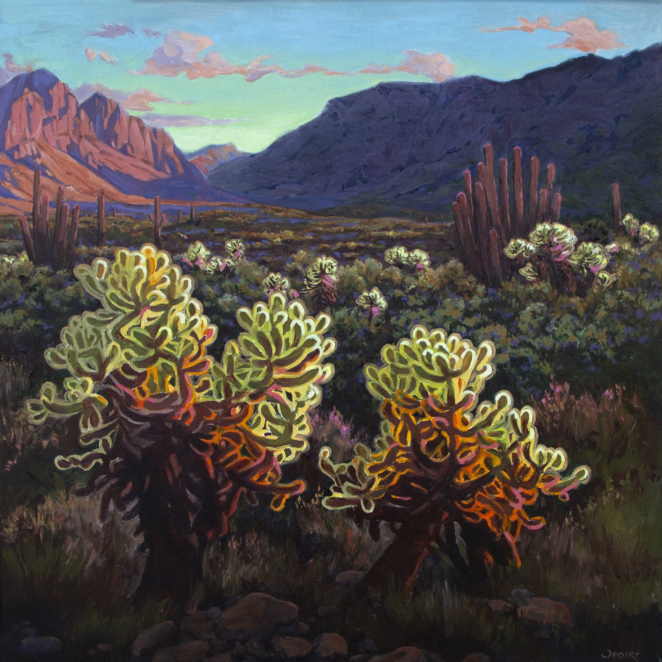 Luminous Desert