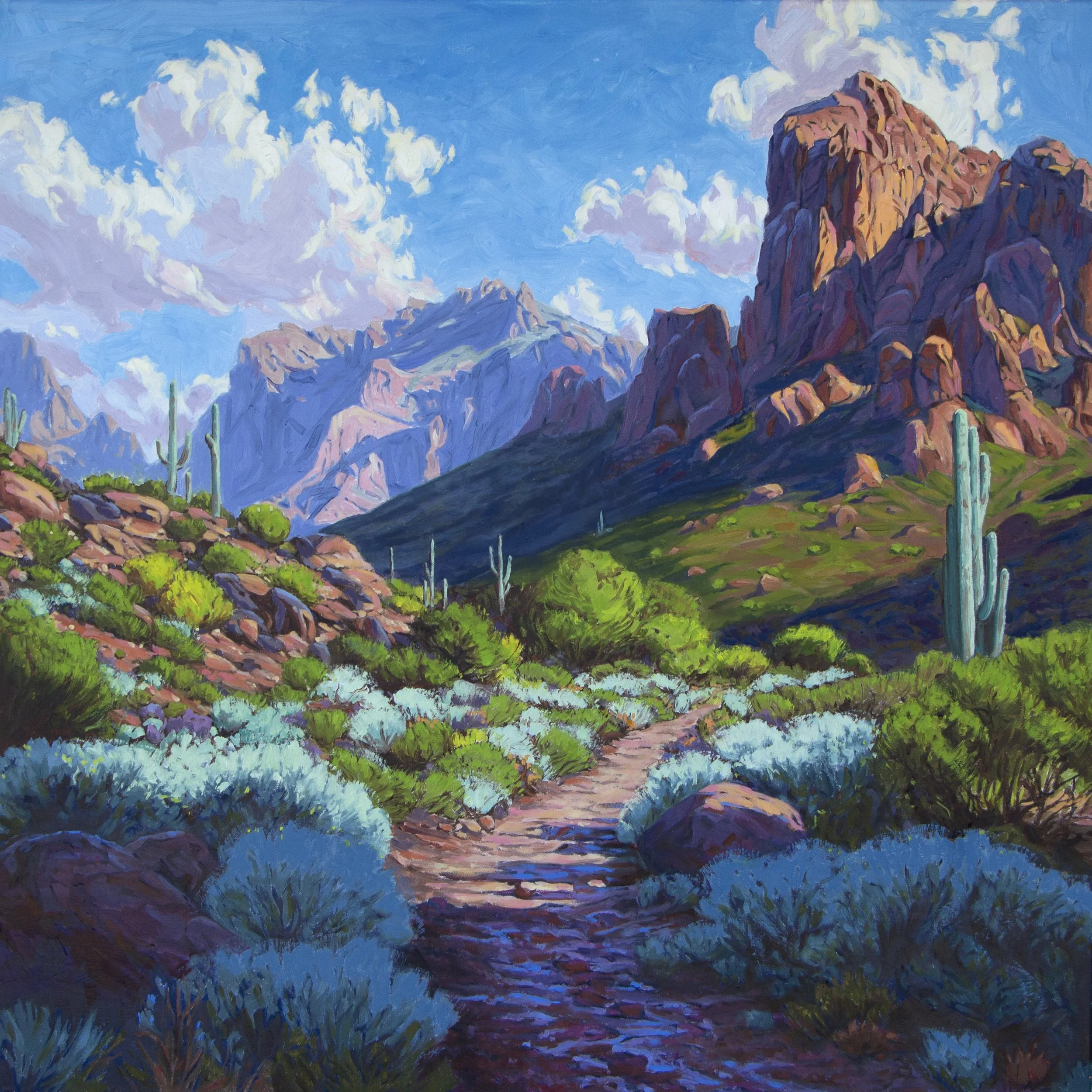 Wild Heart of the Sonoran
