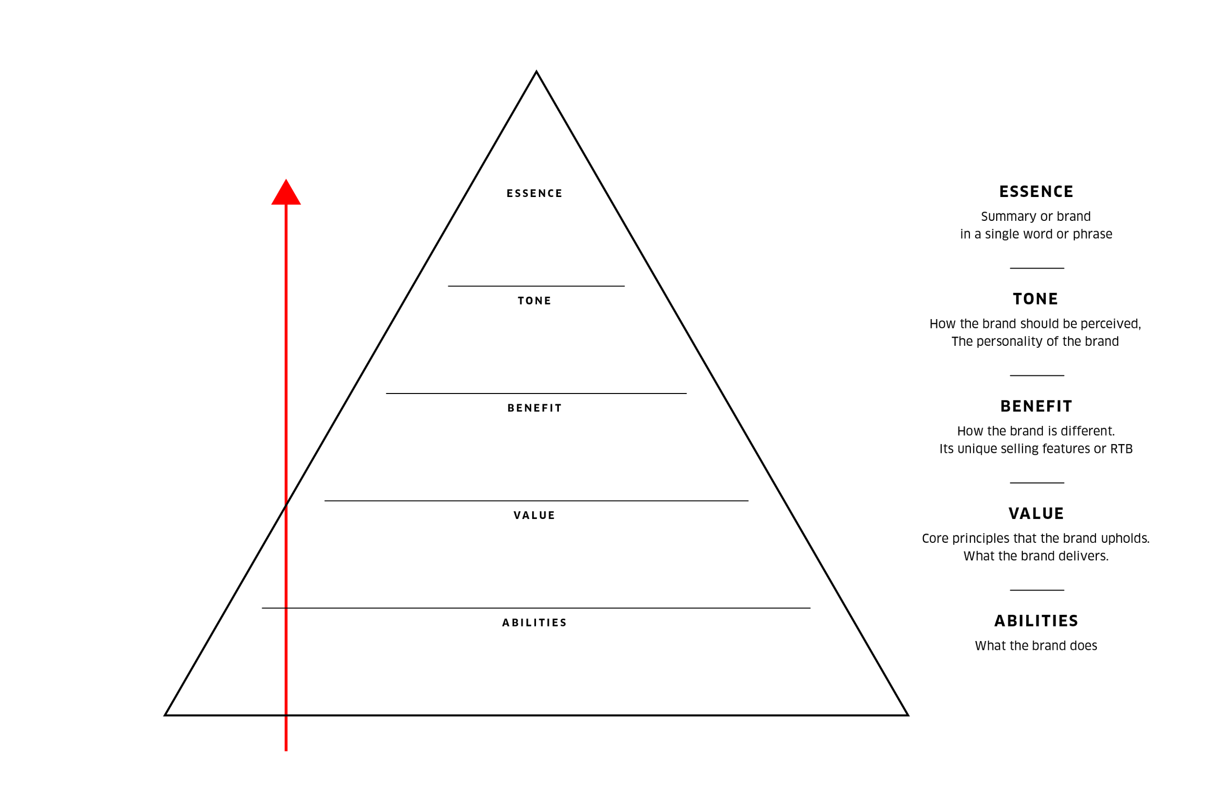 Week 10 / Branding Process