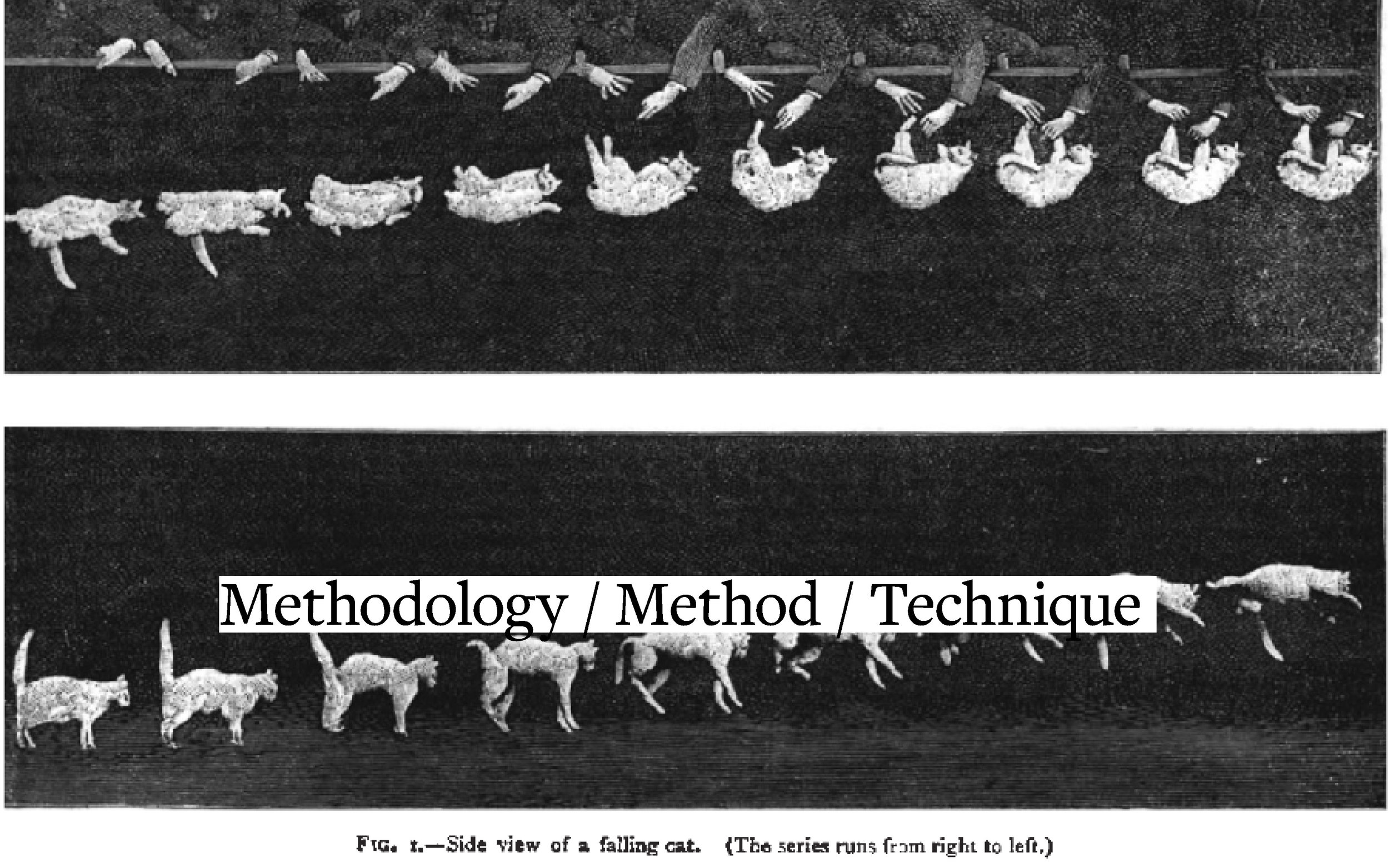 COMD371-12_lecture_w2_Page_07.jpg