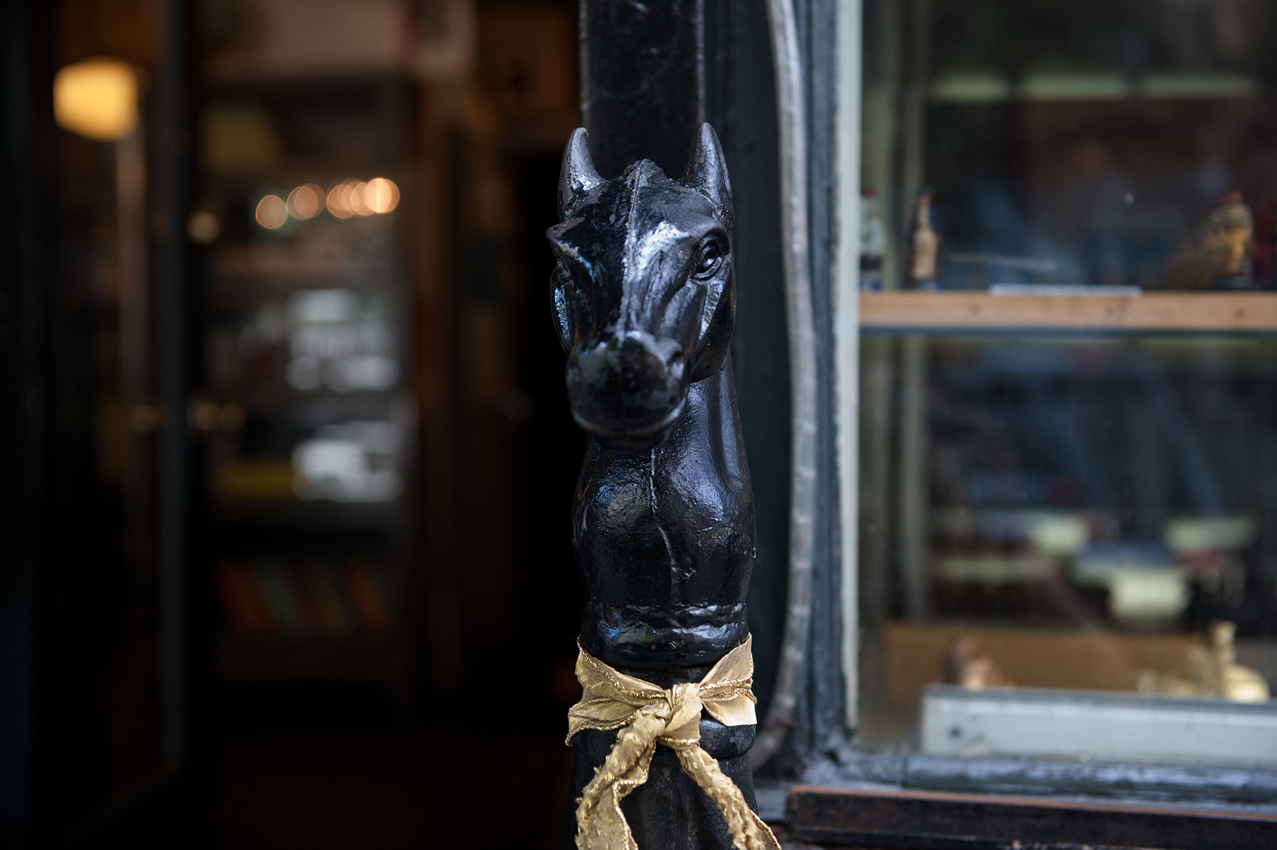_DSC0793 copy.jpg