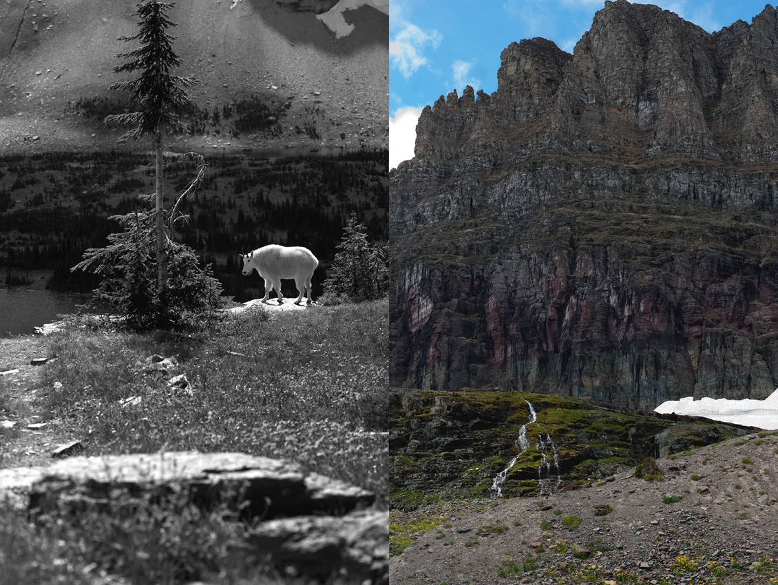 26_mountain+goat copy.jpg