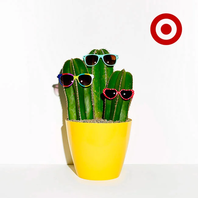 Target-Cactus_2.jpg