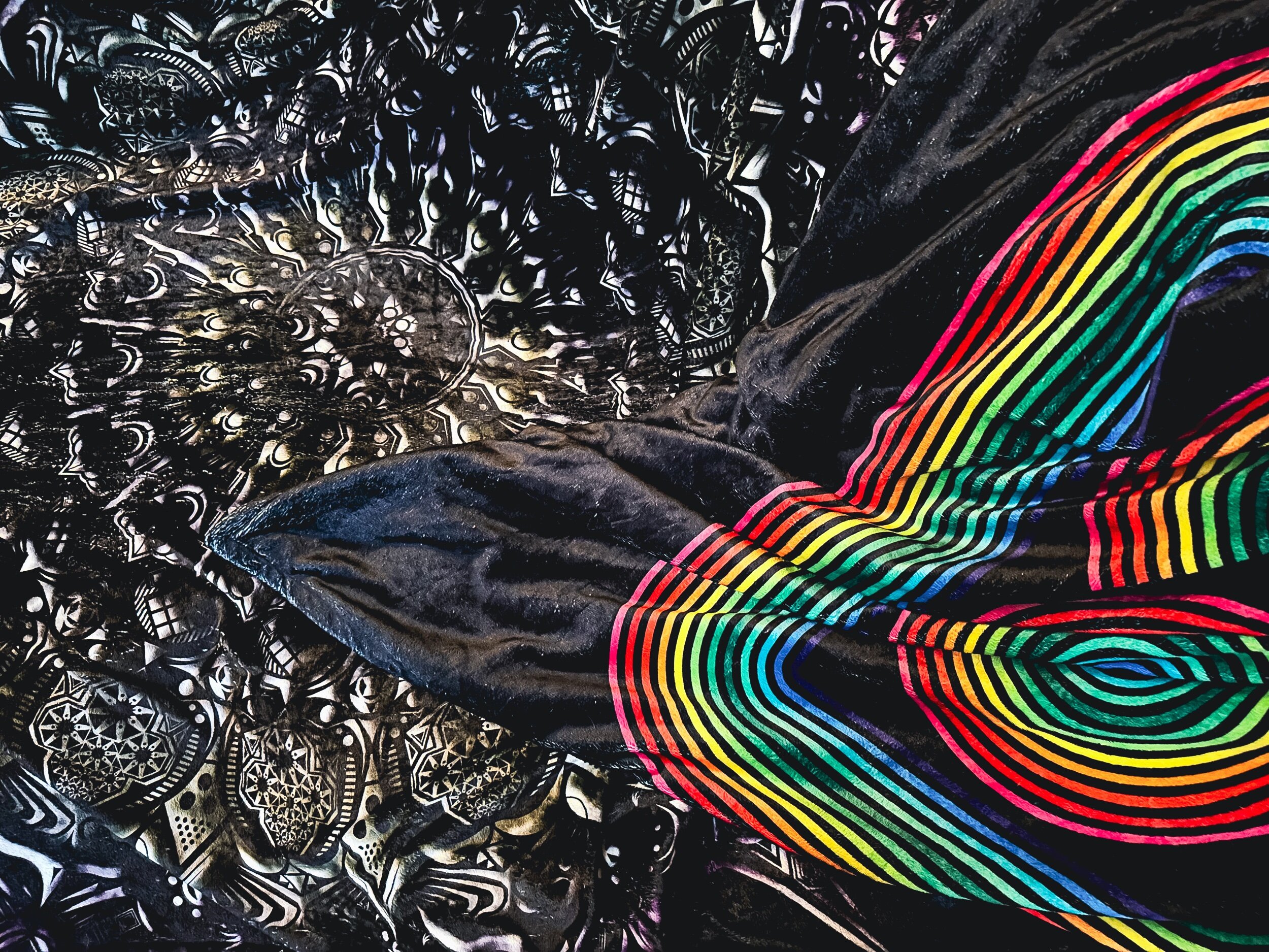 47887CAF-5440-48F0-8EF2-2AC12A85A354