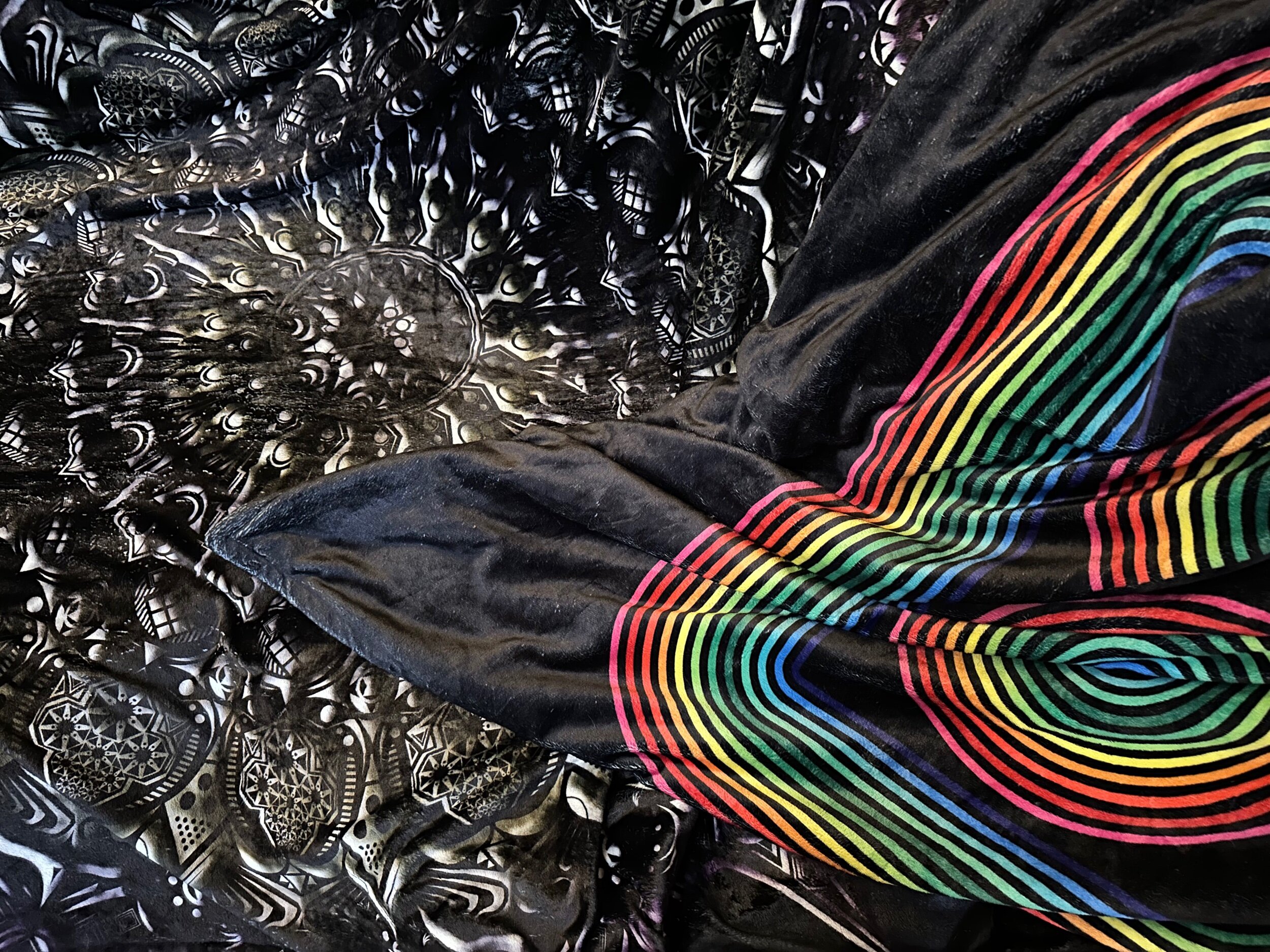 F5D329CE-9455-432B-B3F7-A49872F49F3C