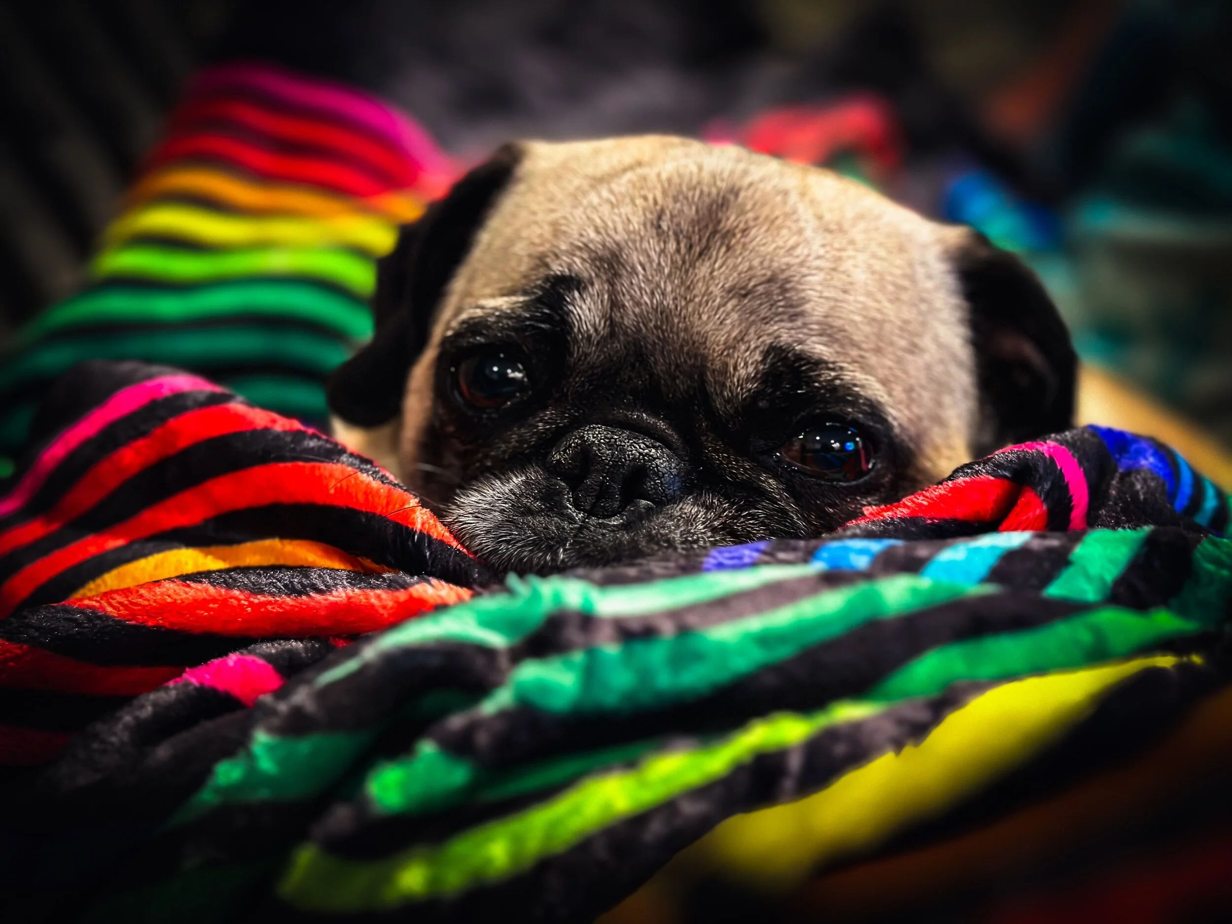 83CF1FBD-2ED9-4885-9579-5E1E13C493BF