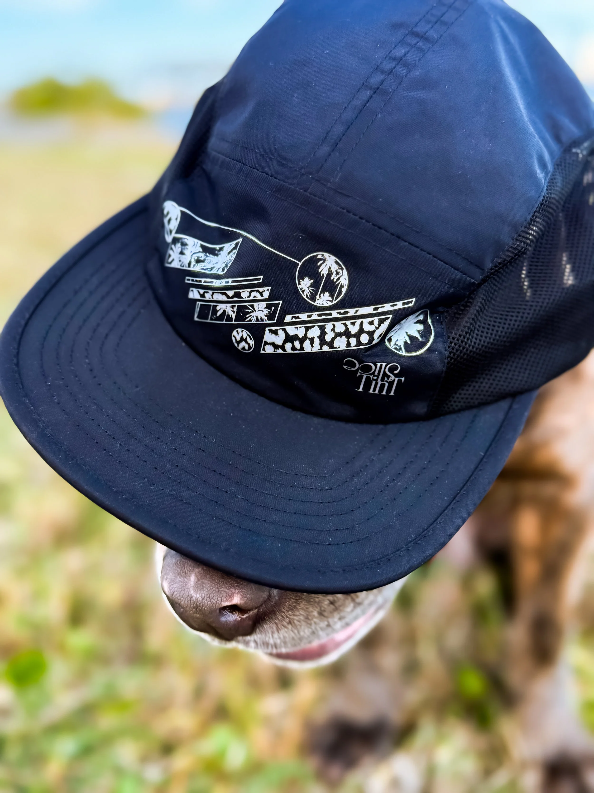 "Jungle Luxe"  Active 5-Panel