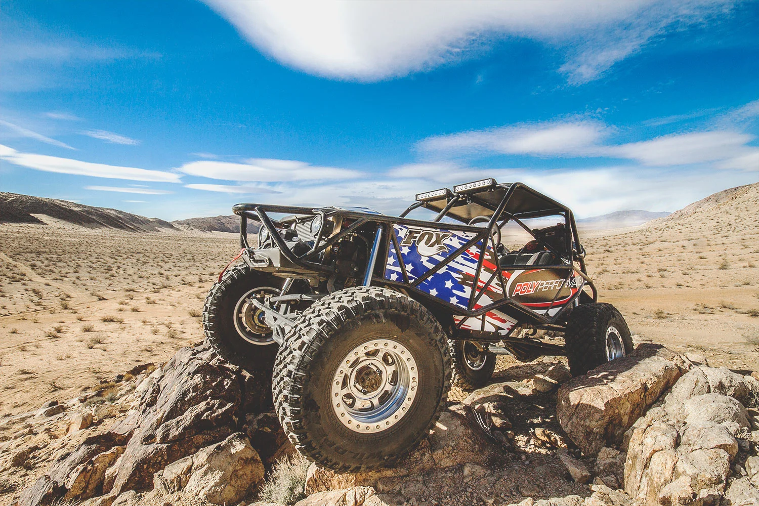 POLY PERFORMANCE | RUST BUGGY