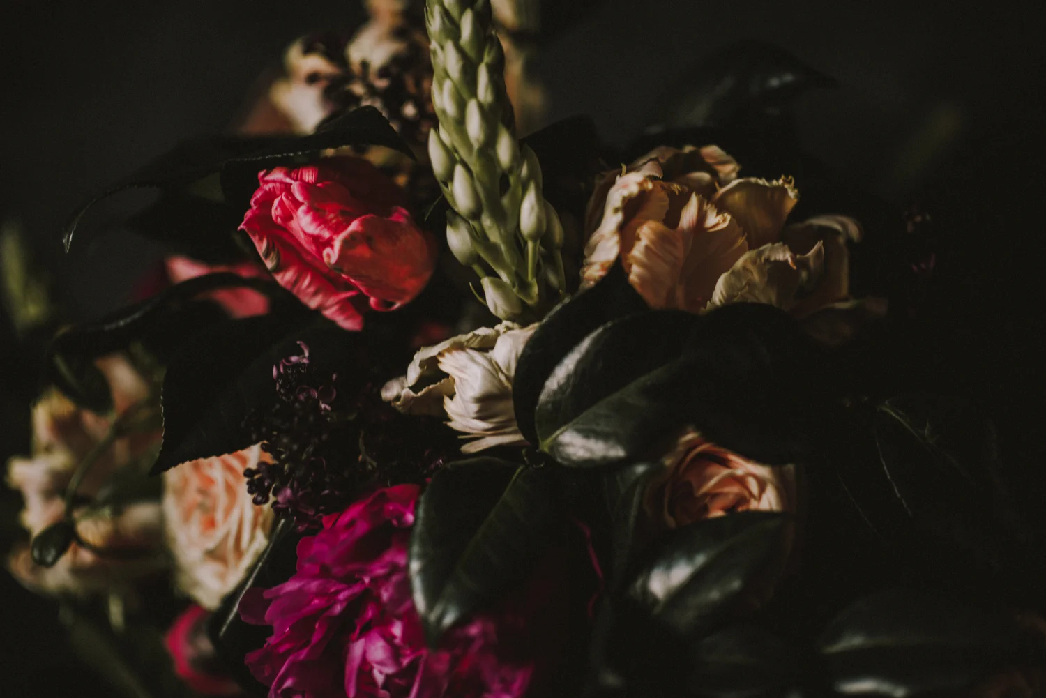 Maxit Flower Design Dark Flowers Photoshoot- Close Up Flower Detail