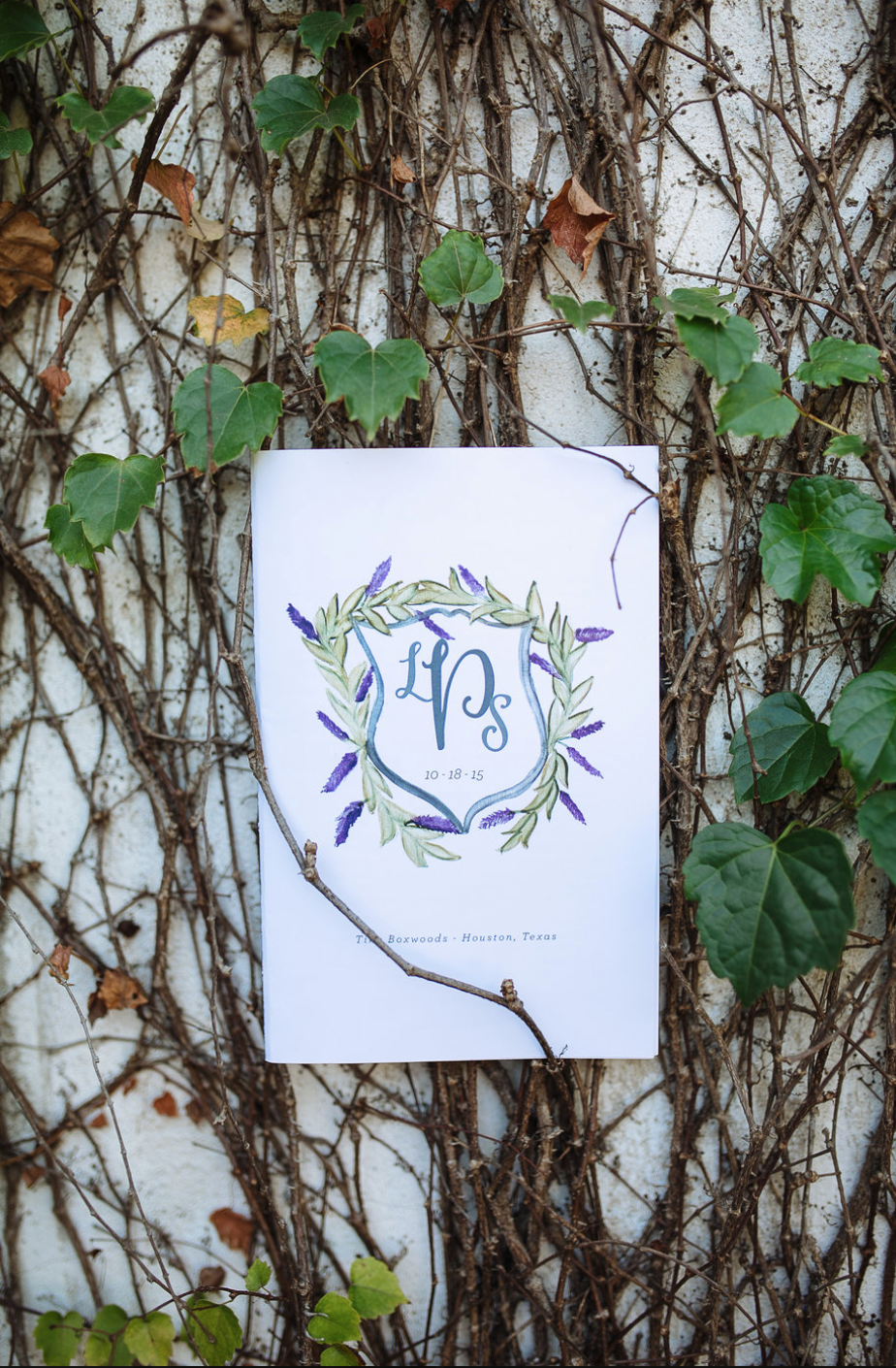 Hand Lettering- Ivy- Maxit Flower Design- Houston Weddings