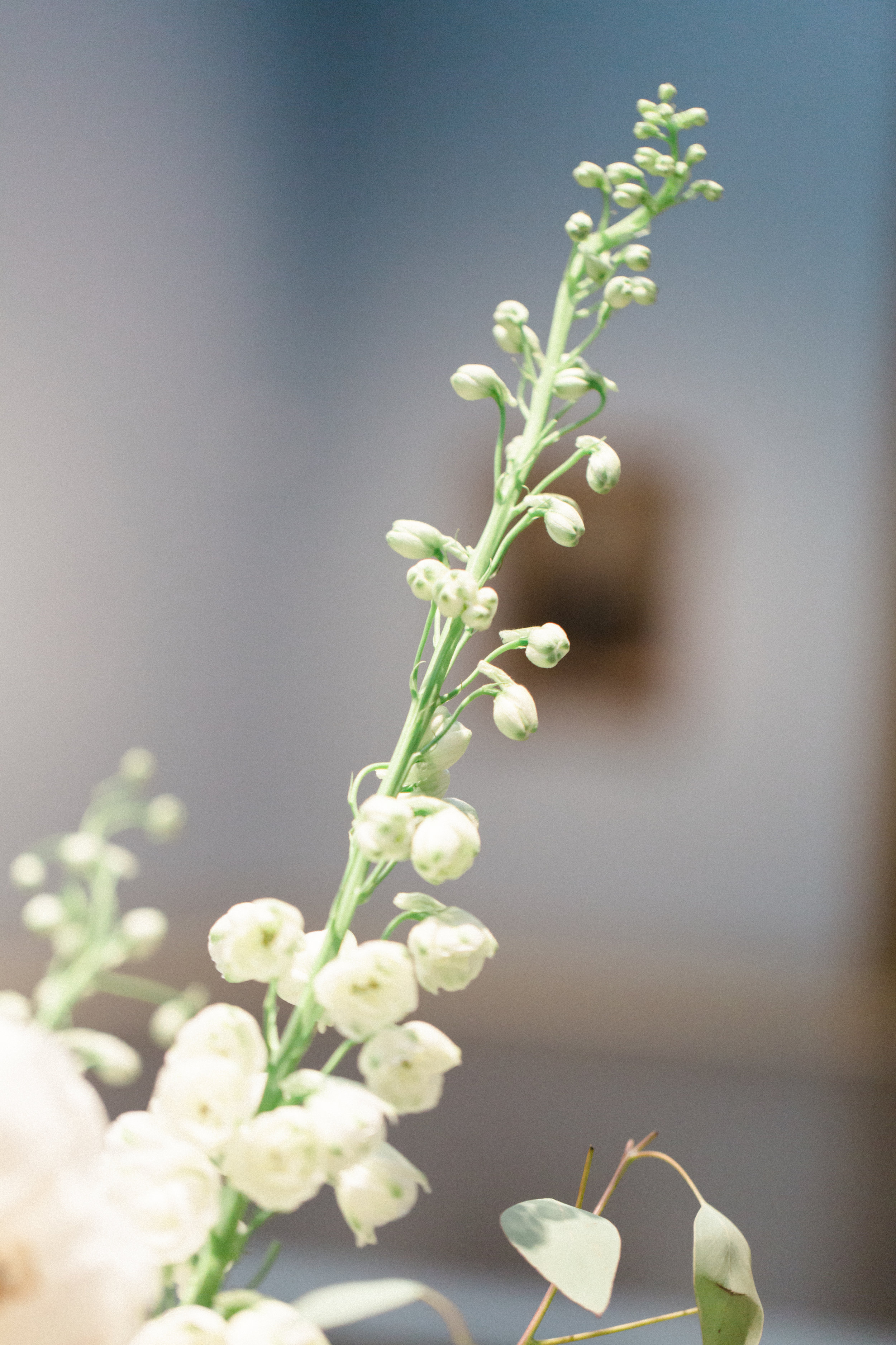 greenery-focus-soft-detail-photography-florals-by-maxit-flower-design