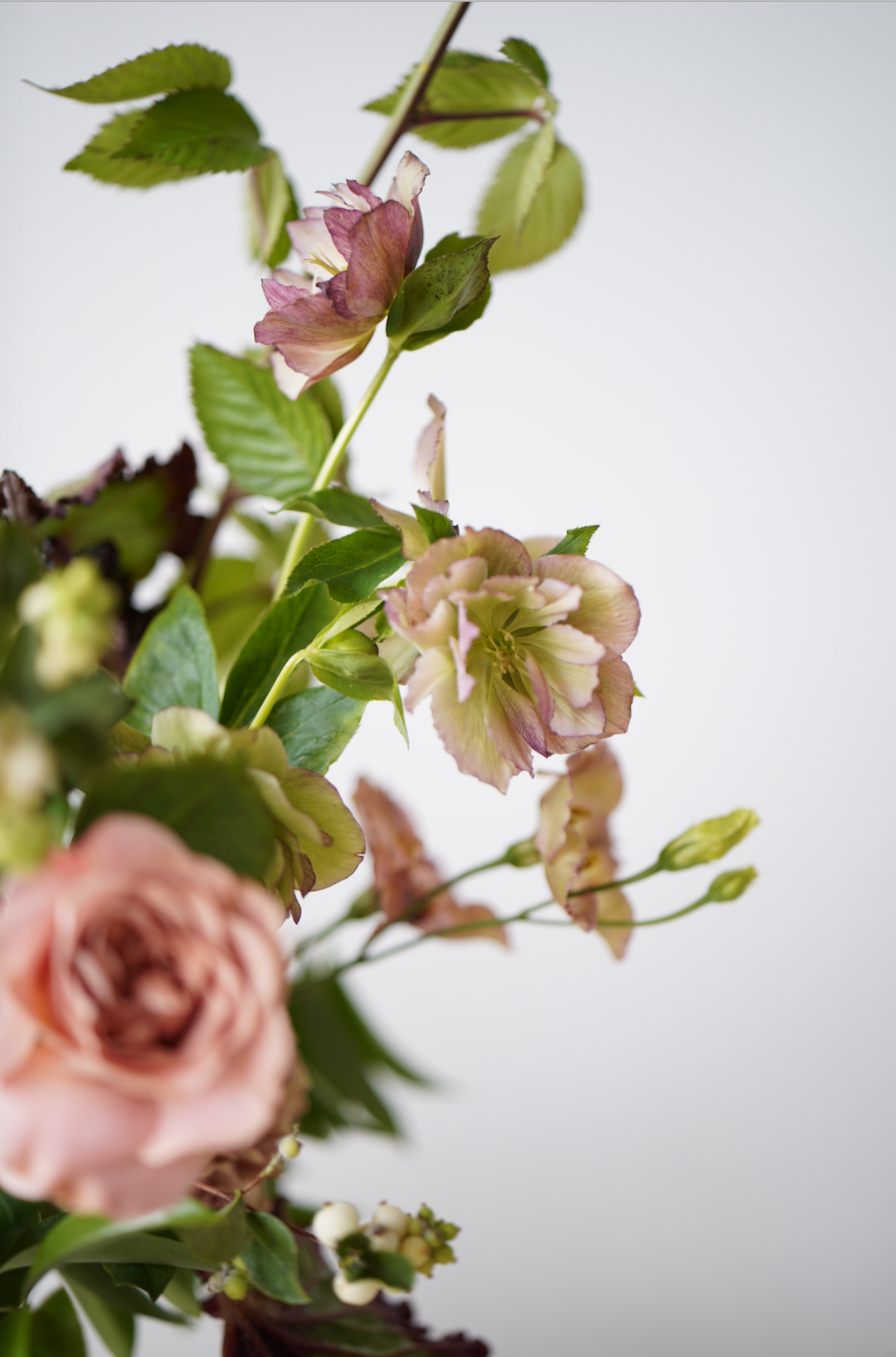 Helleborus-Wedding-Event-Maxit-Flower-Design-2018.png