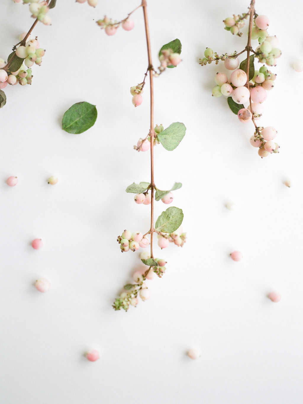 Maxit-Flower-Design-Christine-Gosch-Wedding-Event-Flowers-Snowberries.jpg