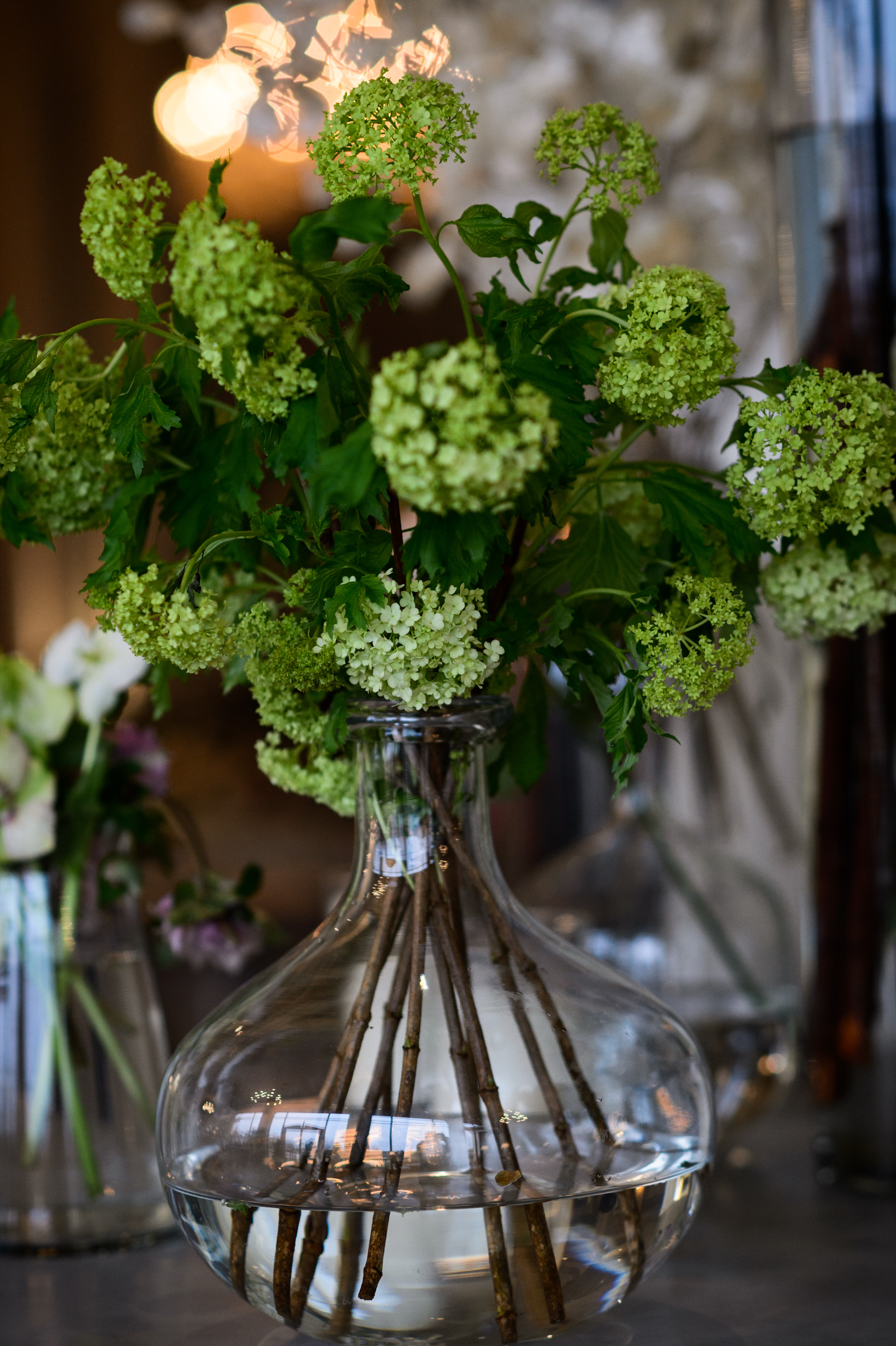 Viburnum_Greenery_Flowers_Houston.jpg