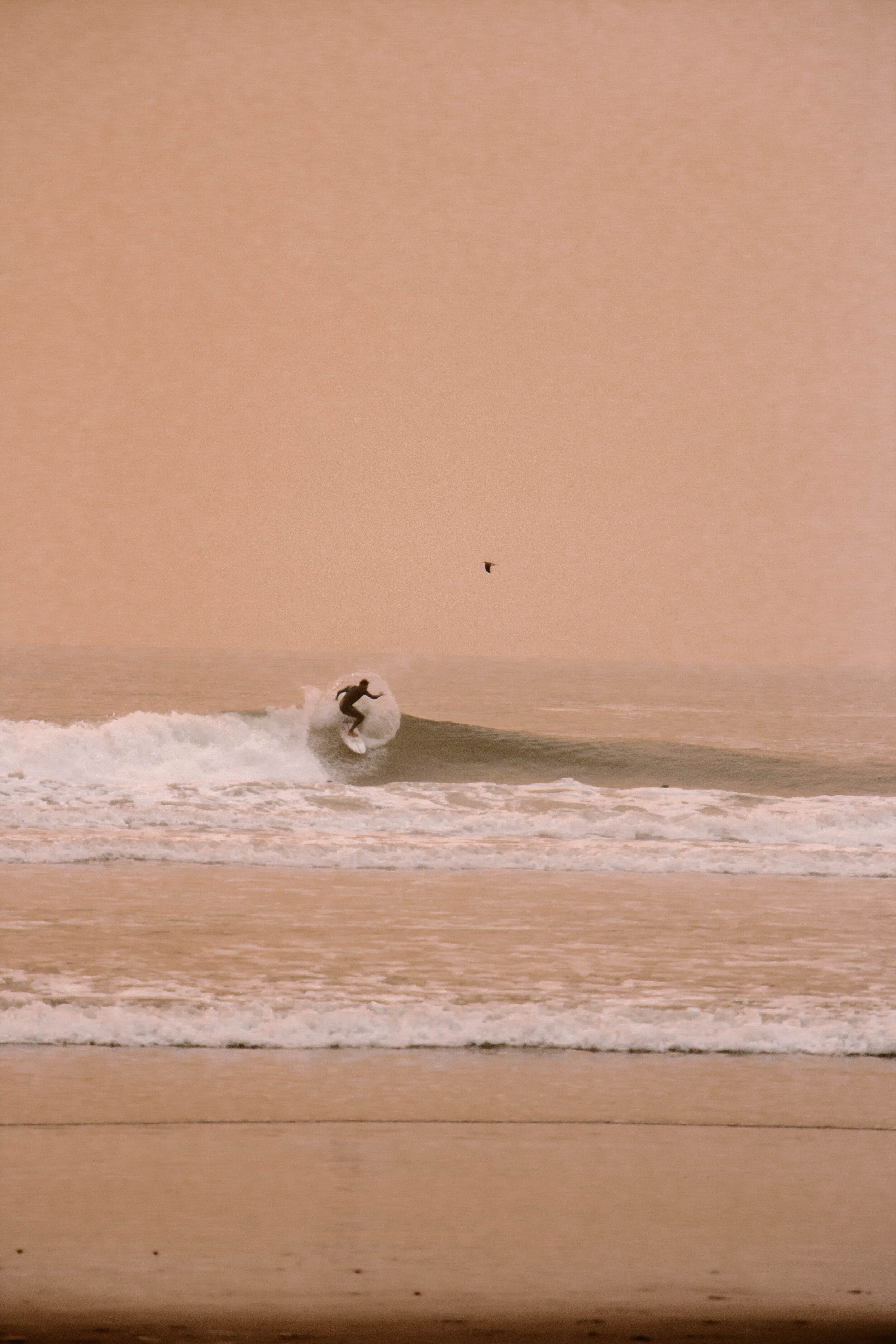 surf-4.jpg