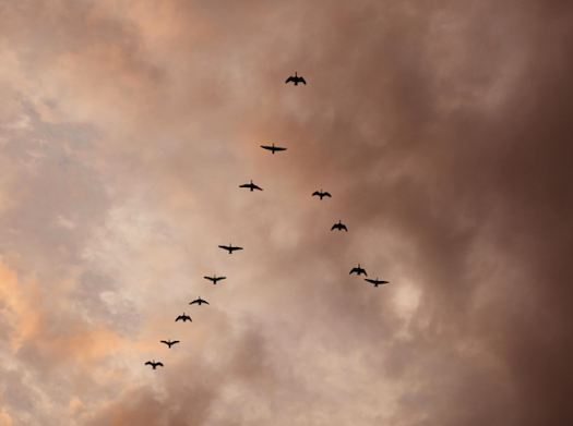 Building a Team-Based Community