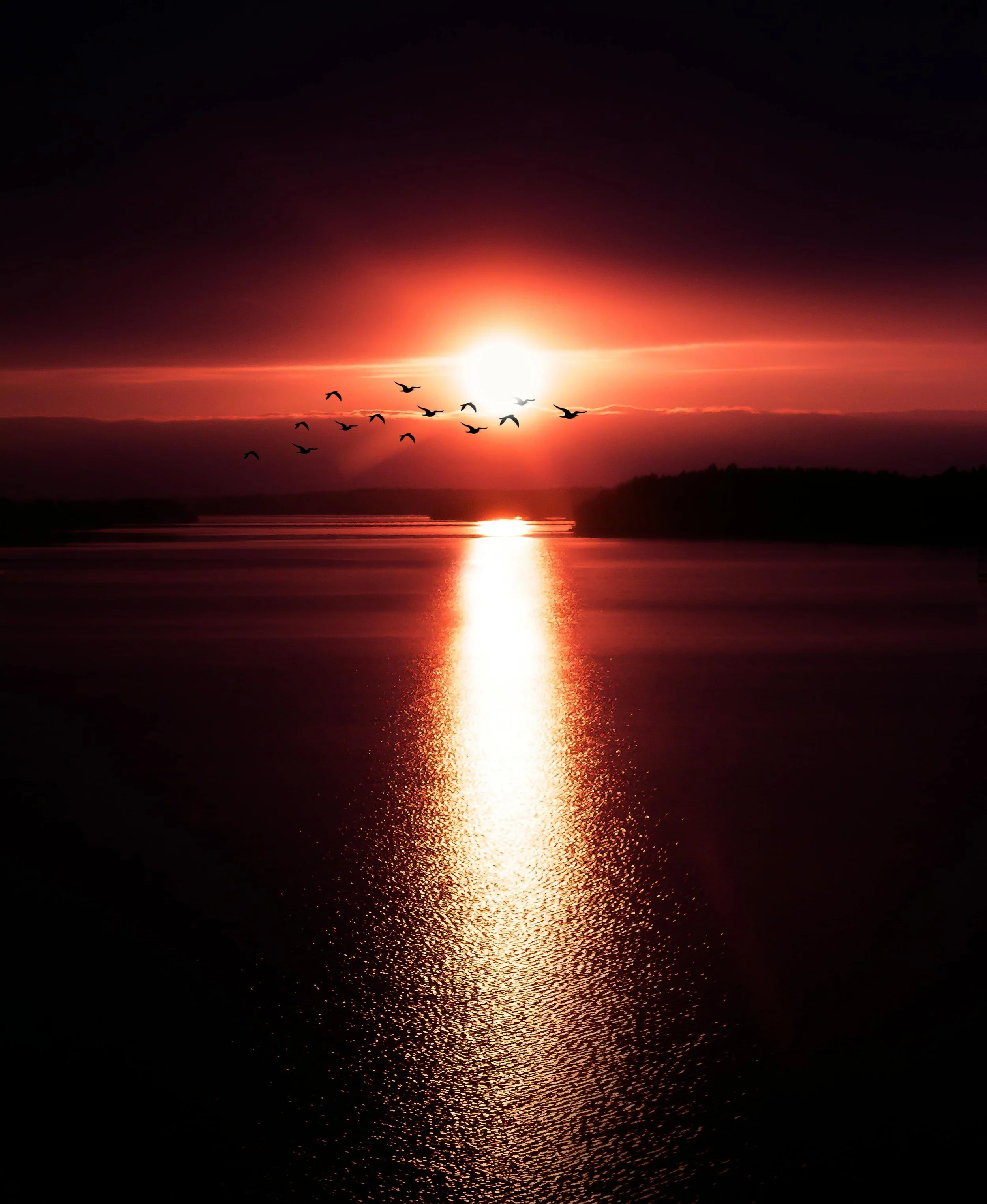 Getting the Most Out of Your Work Teams