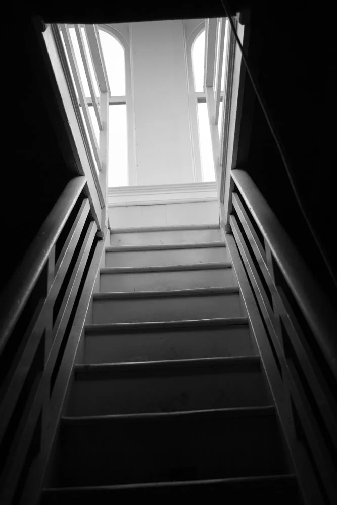 IMG_8732.jpg