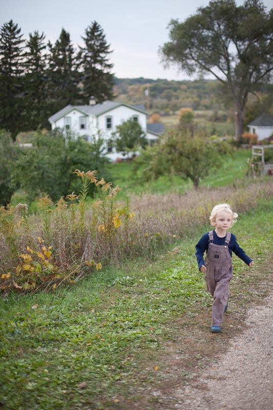 Apple Picking At Door Creek Orchard