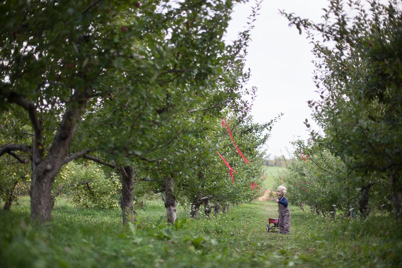 DoorCreekOrchard_8.jpg