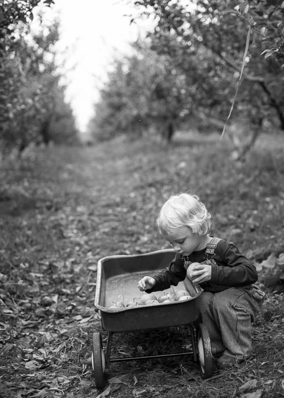 DoorCreekOrchard_12.jpg