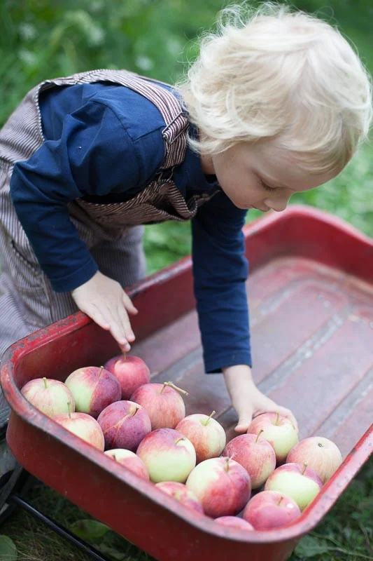 DoorCreekOrchard_10.jpg