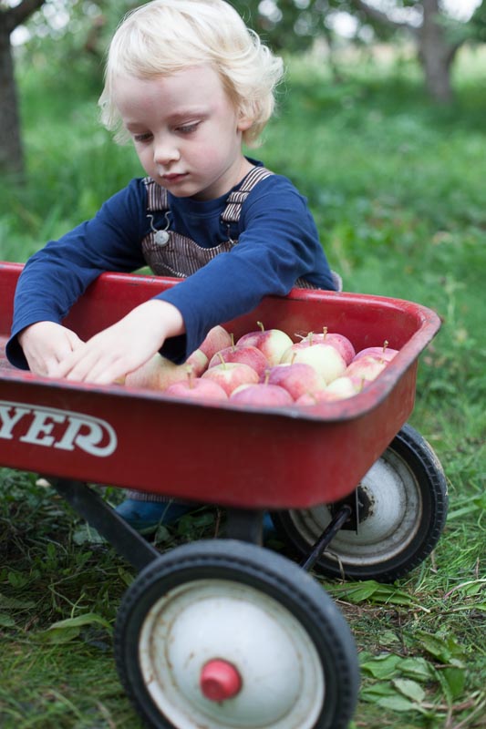 DoorCreekOrchard_14.jpg