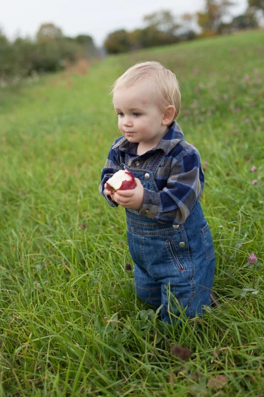 DoorCreekOrchard_16.jpg