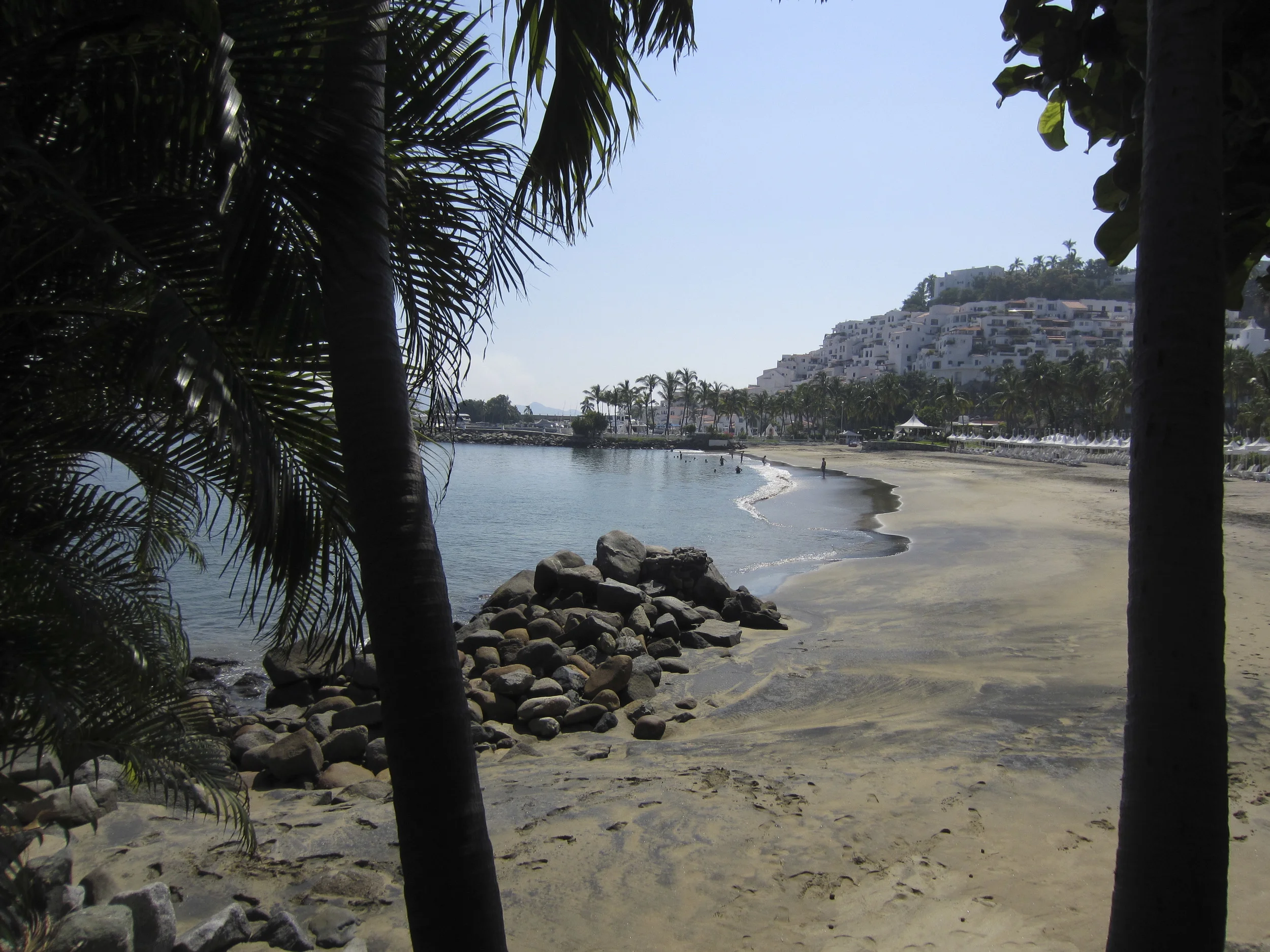 2011-11-1335.jpg