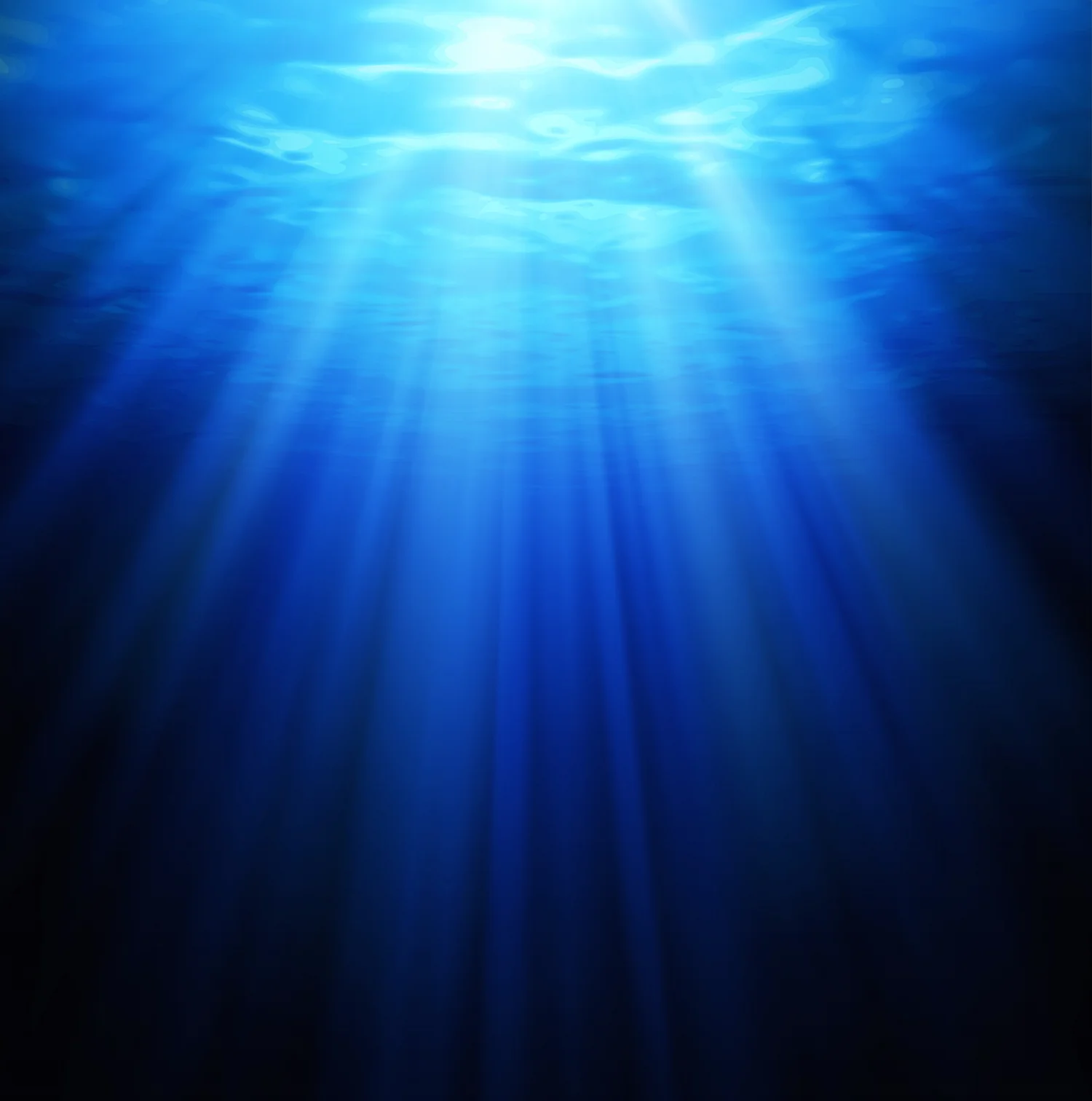 sunig-davinci-website.jpg