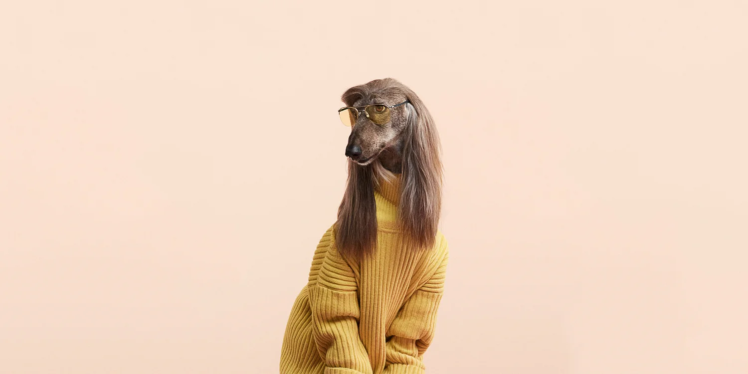 MISO-thumbnail.jpg