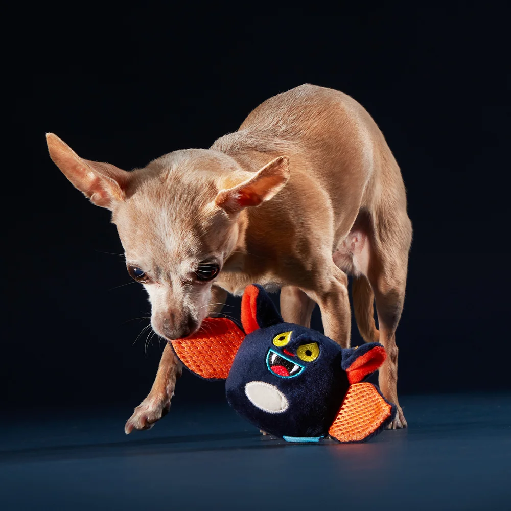 Haunted Hounds — Yarish Designs