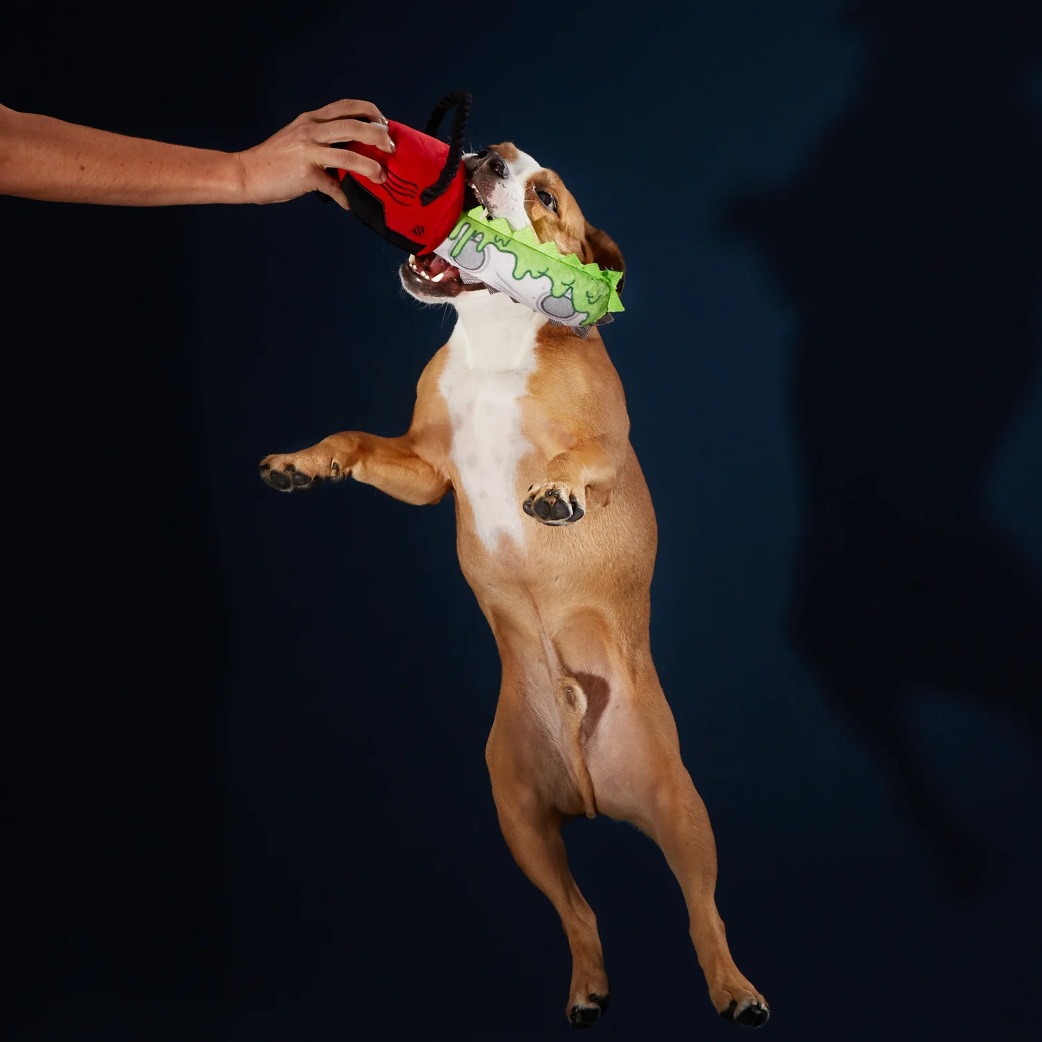 Haunted Hounds — Yarish Designs