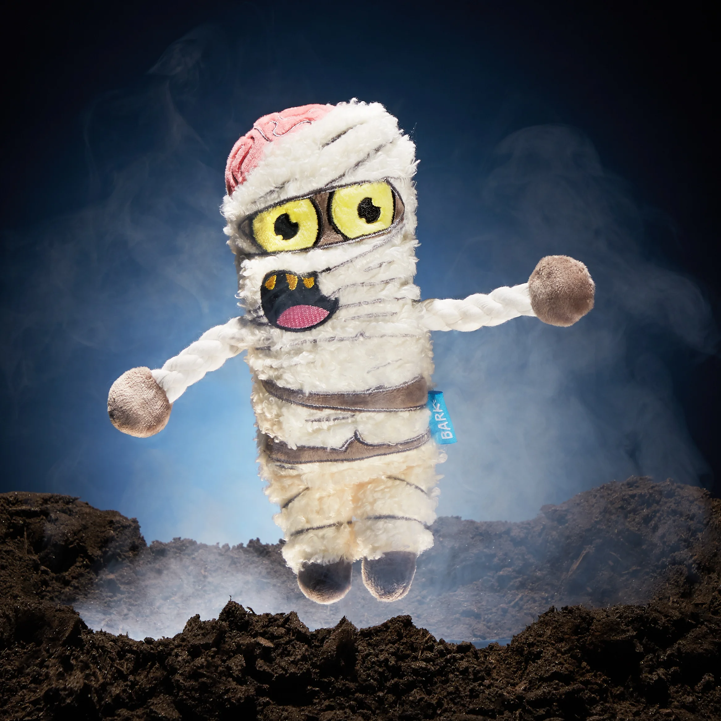 RETAIL_HAUNTEDHOUNDS_PRODUCT-STYLED_0243_KING-GRUNT-THE-MUMMY.jpg