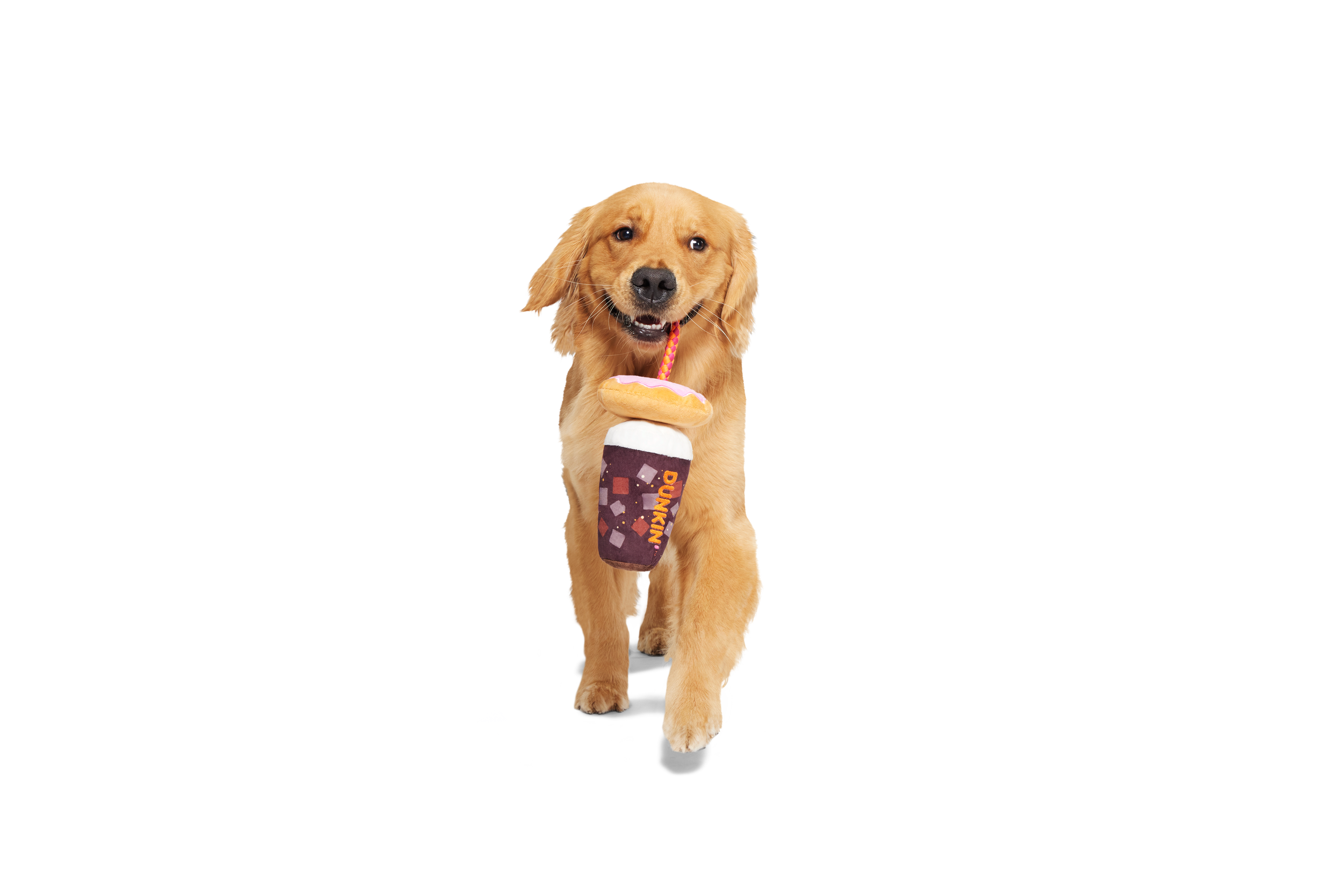 RETAIL_215307_DUNKIN-DONUT-AND-ICED-COFFEE_1335_RUDY.png