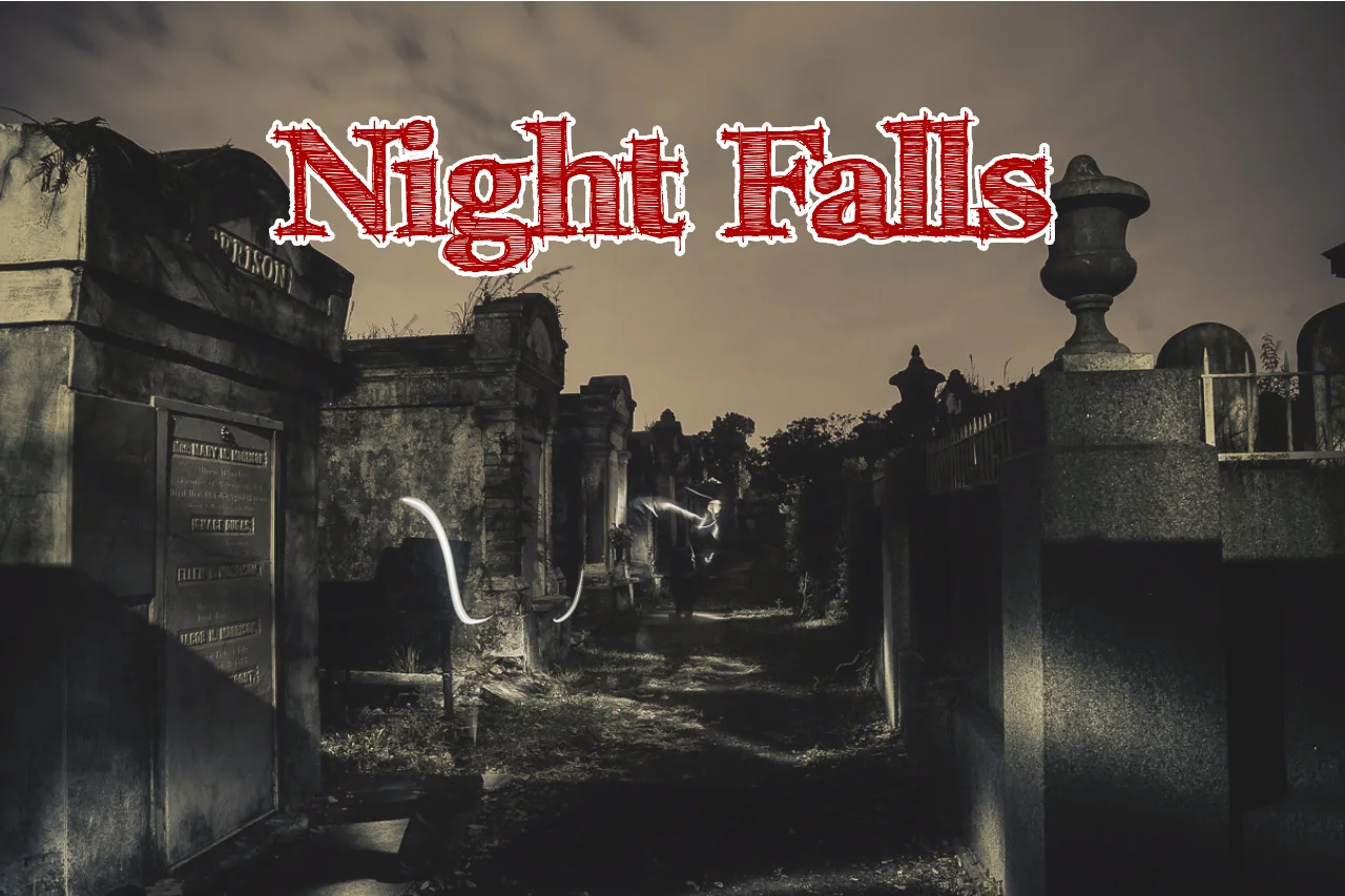 NF.Promo.jpg