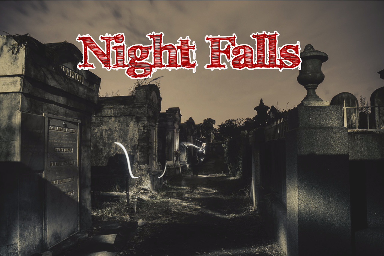NF Banner.png
