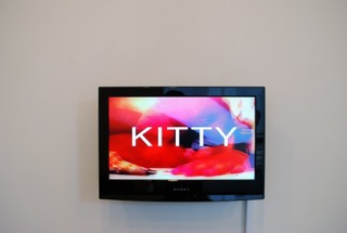 Cat Cat Kitty