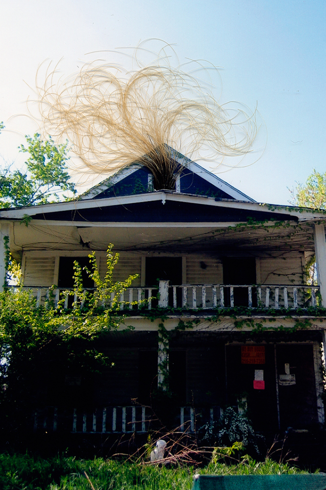 david 2011 vogley woods.jpg