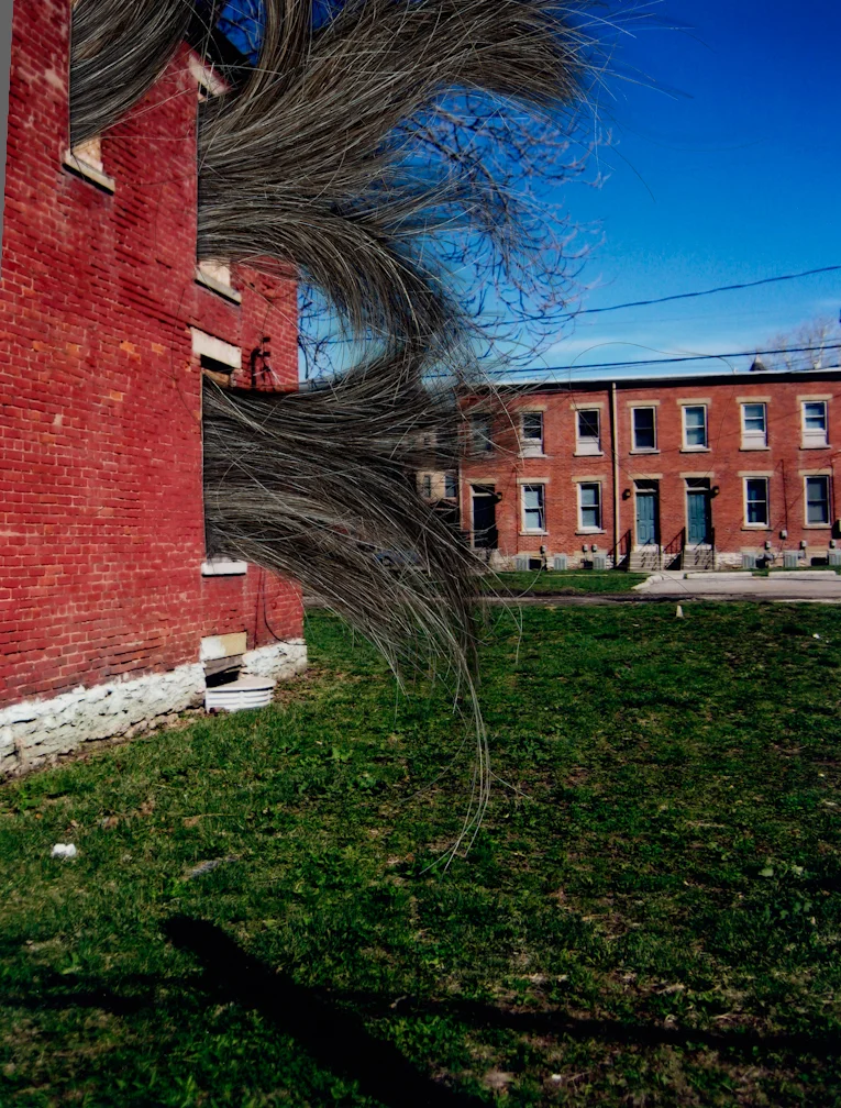 M Vogley Woods_4.jpeg