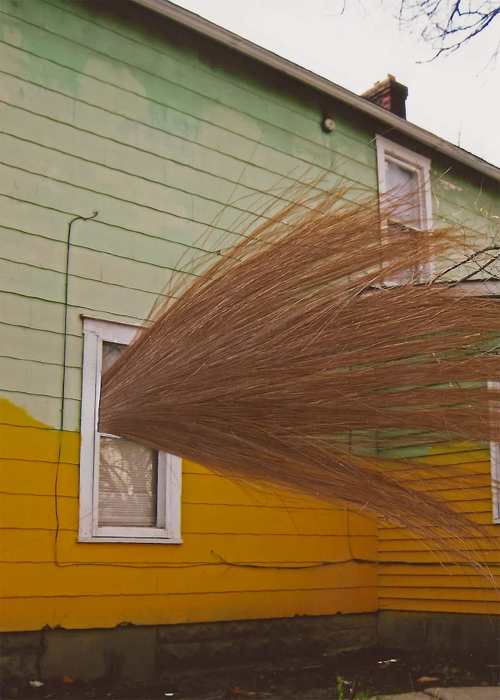 M Vogley Woods_3.jpeg