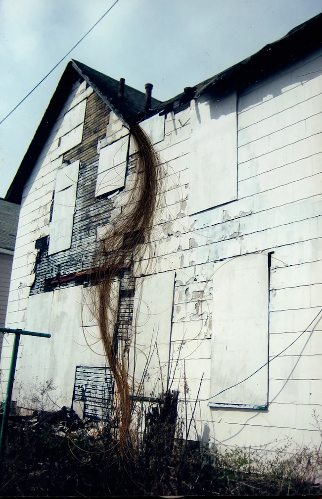 M Vogley Woods_5.jpeg