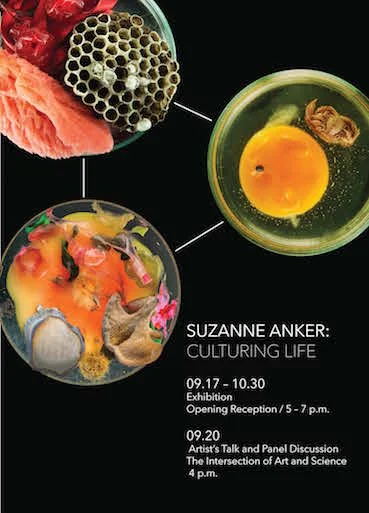 Anker_Approved_5x7 72.jpeg