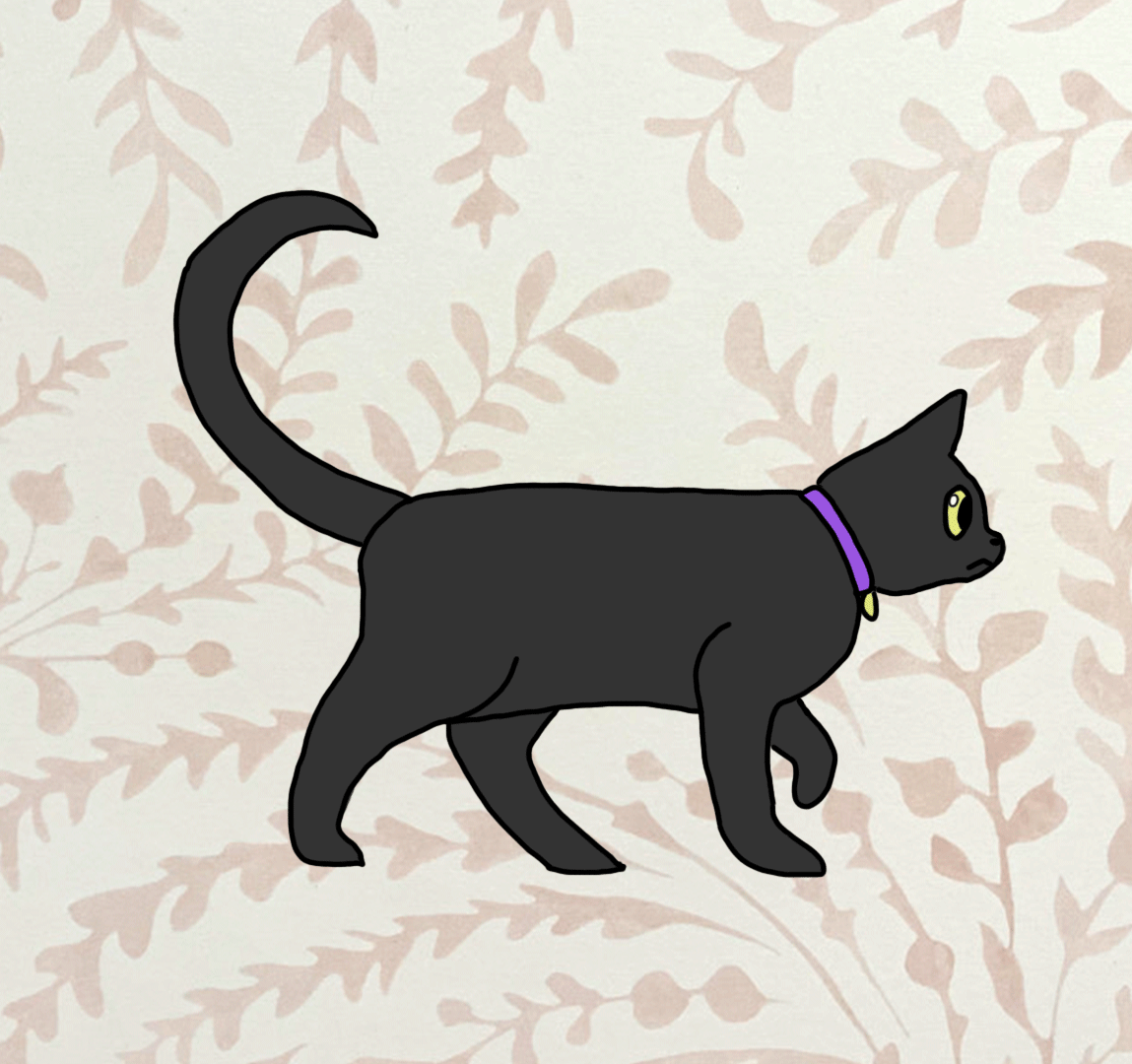 1. Kate-CAS-Graphic Design-Walk-Cycle.gif