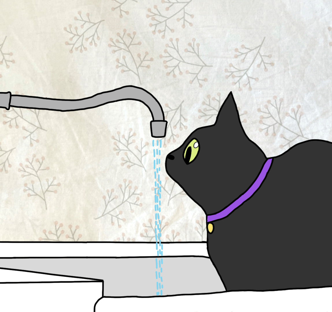 3. Kate-CAS-Graphic Design-Cat-Drinking-Water.gif