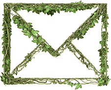 envelope made of ivy vines and leaves