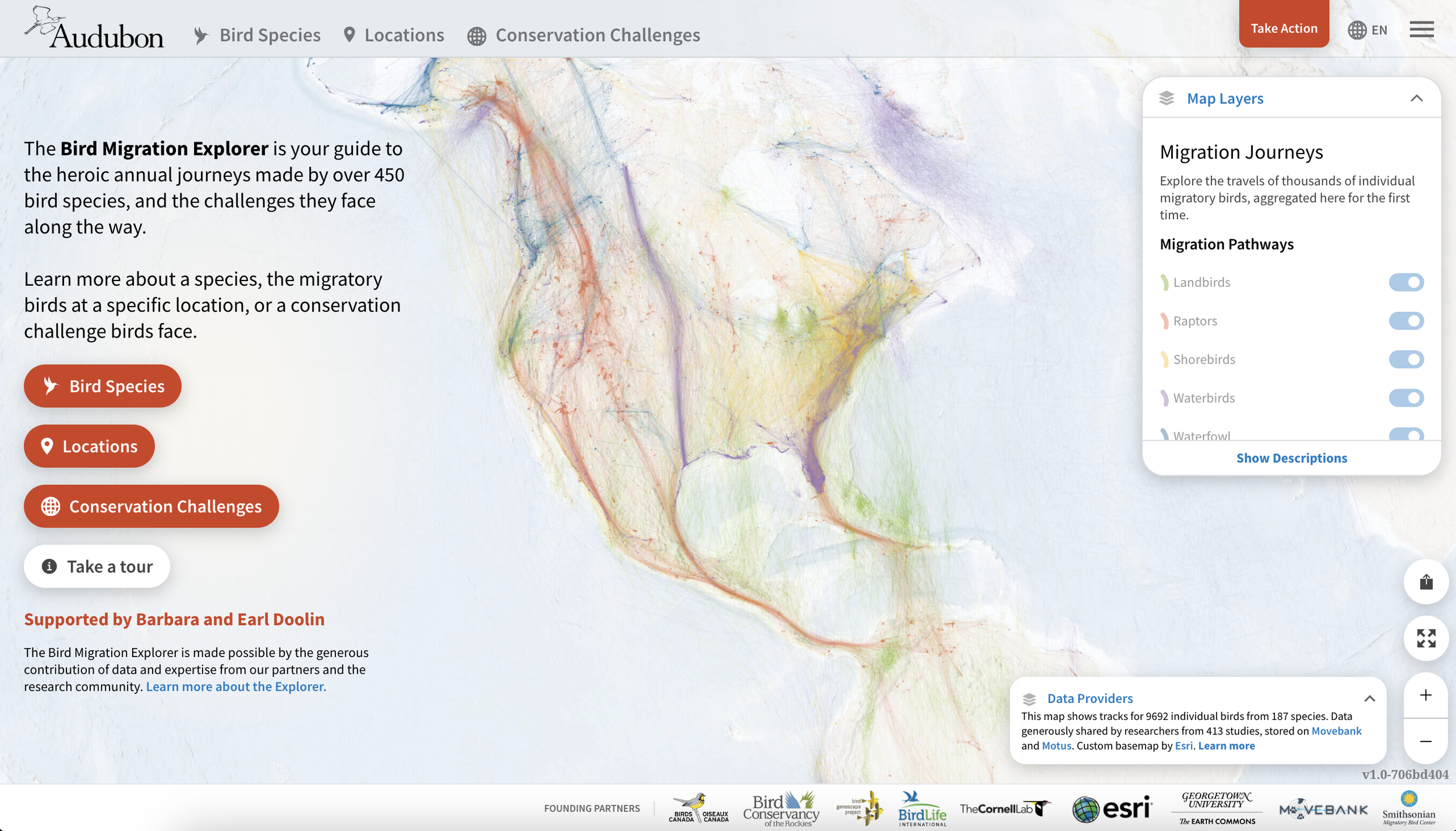 Bird Migration Explorer for the National Audubon Society